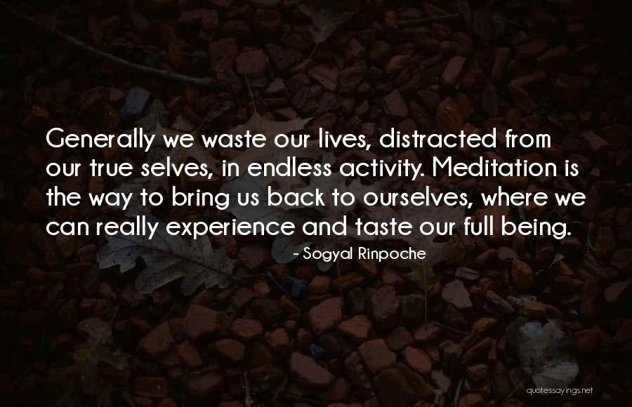 Sogyal Rinpoche Quotes 1177659