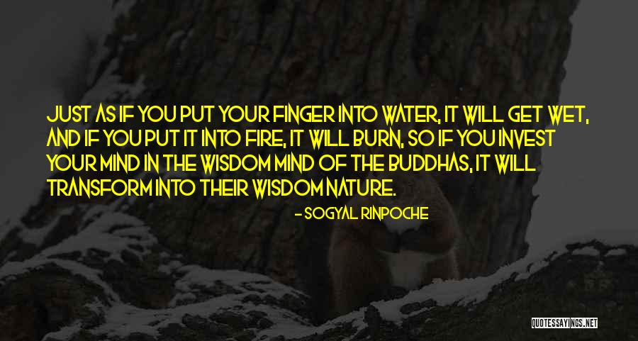 Sogyal Rinpoche Quotes 1398488