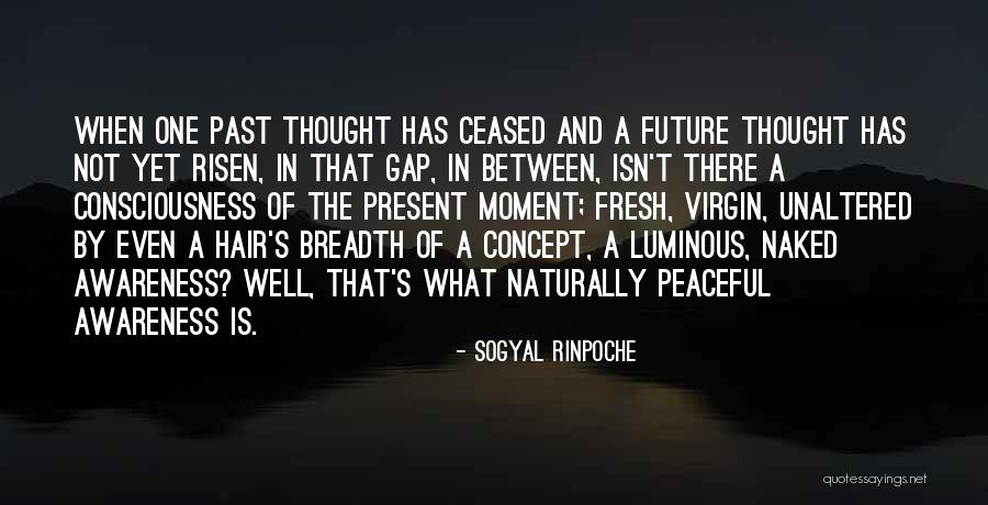 Sogyal Rinpoche Quotes 1673413