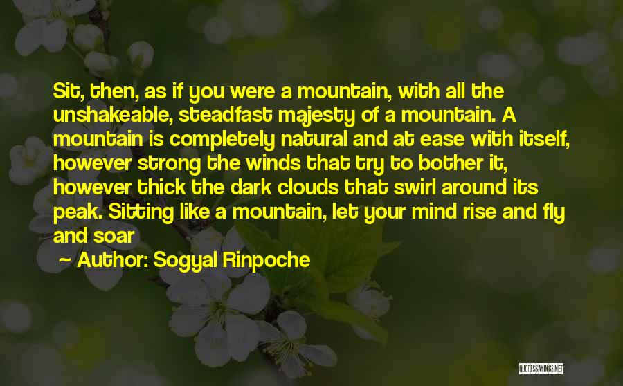 Sogyal Rinpoche Quotes 1818416