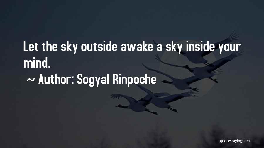Sogyal Rinpoche Quotes 2086321