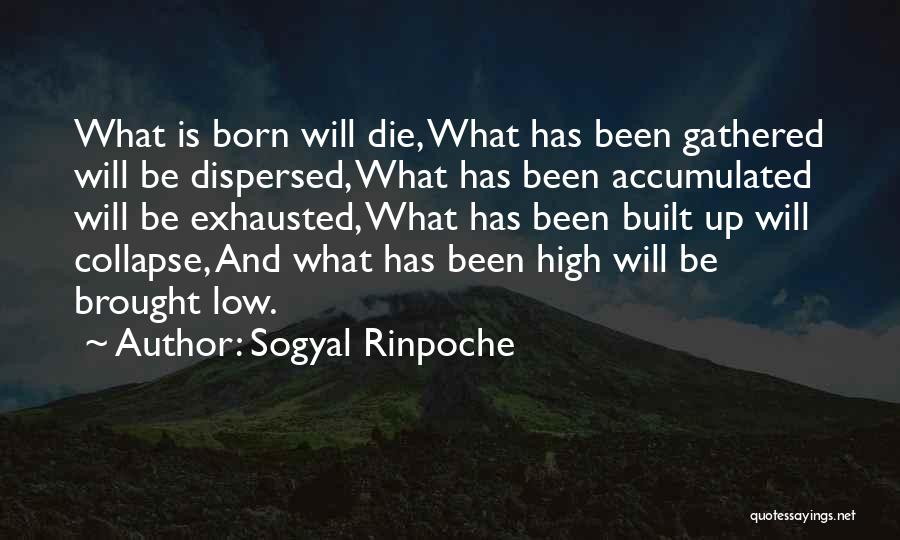 Sogyal Rinpoche Quotes 2104989