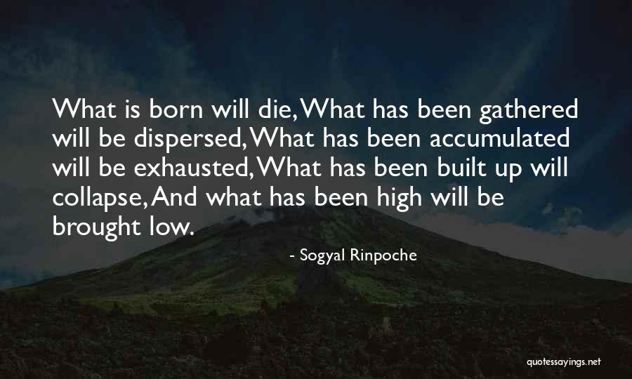 Sogyal Rinpoche Quotes 2104989