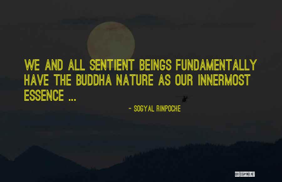 Sogyal Rinpoche Quotes 2234492