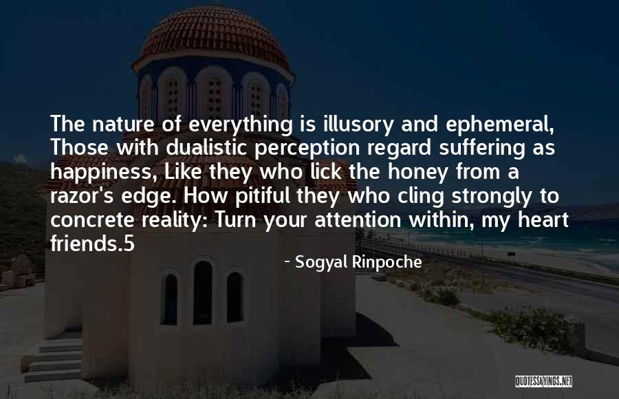 Sogyal Rinpoche Quotes 343695