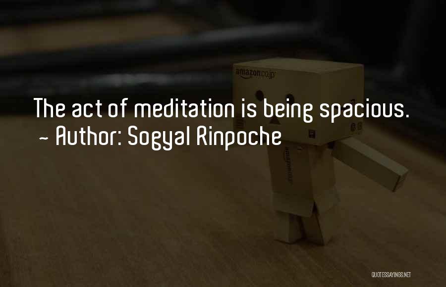 Sogyal Rinpoche Quotes 412931