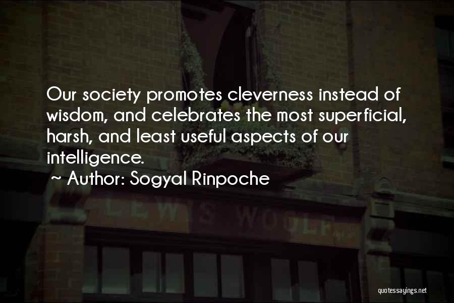 Sogyal Rinpoche Quotes 480861