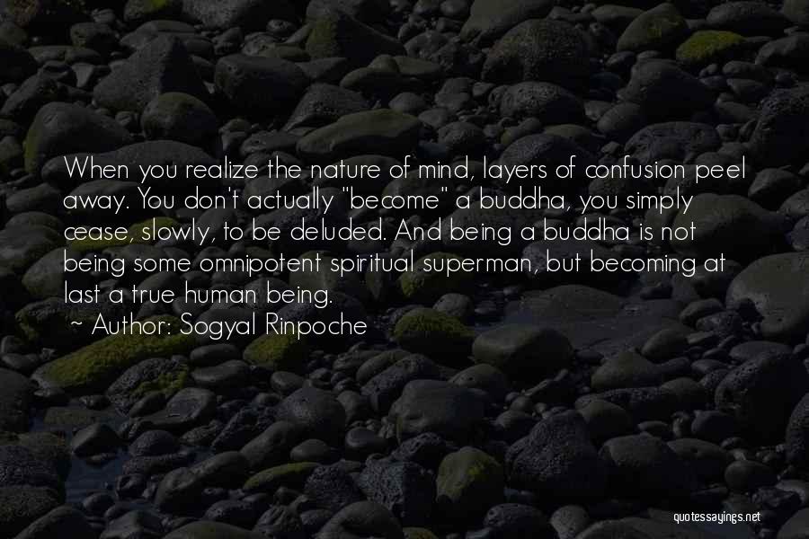 Sogyal Rinpoche Quotes 681877