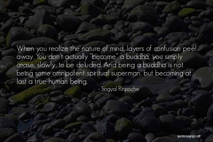 Sogyal Rinpoche Quotes 681877