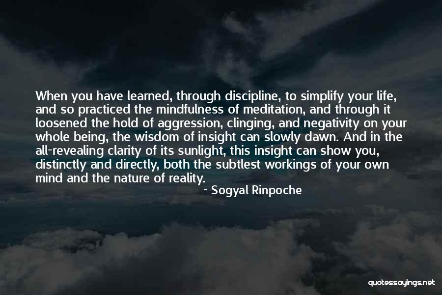 Sogyal Rinpoche Quotes 699119