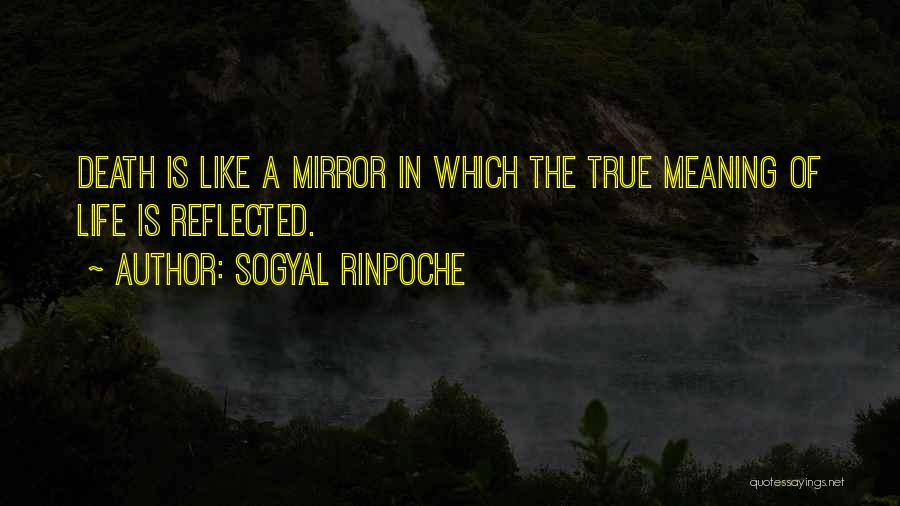 Sogyal Rinpoche Quotes 855656