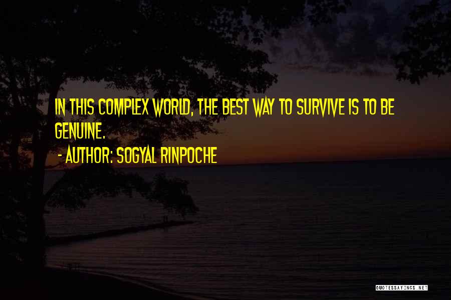 Sogyal Rinpoche Quotes 859642