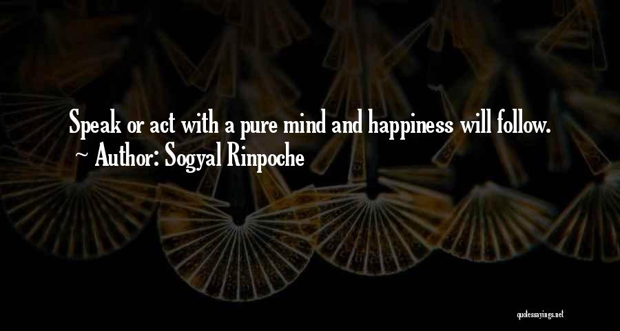 Sogyal Rinpoche Quotes 922475