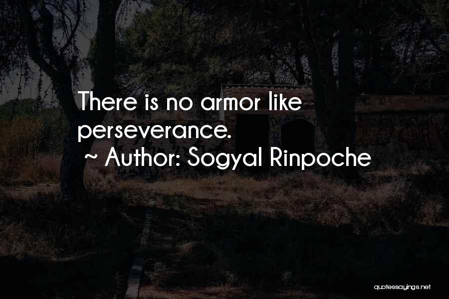 Sogyal Rinpoche Quotes 967109