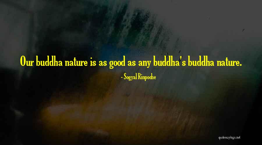 Sogyal Rinpoche Quotes 972440