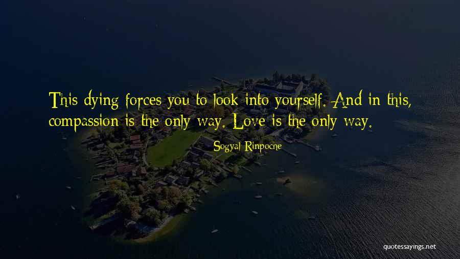 Sogyal Rinpoche Quotes 99218