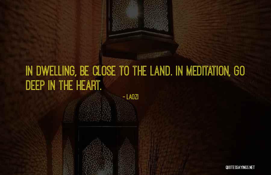 Sohail Ahmed Quotes By Laozi Sohail Ahmed Quotes By Laozi