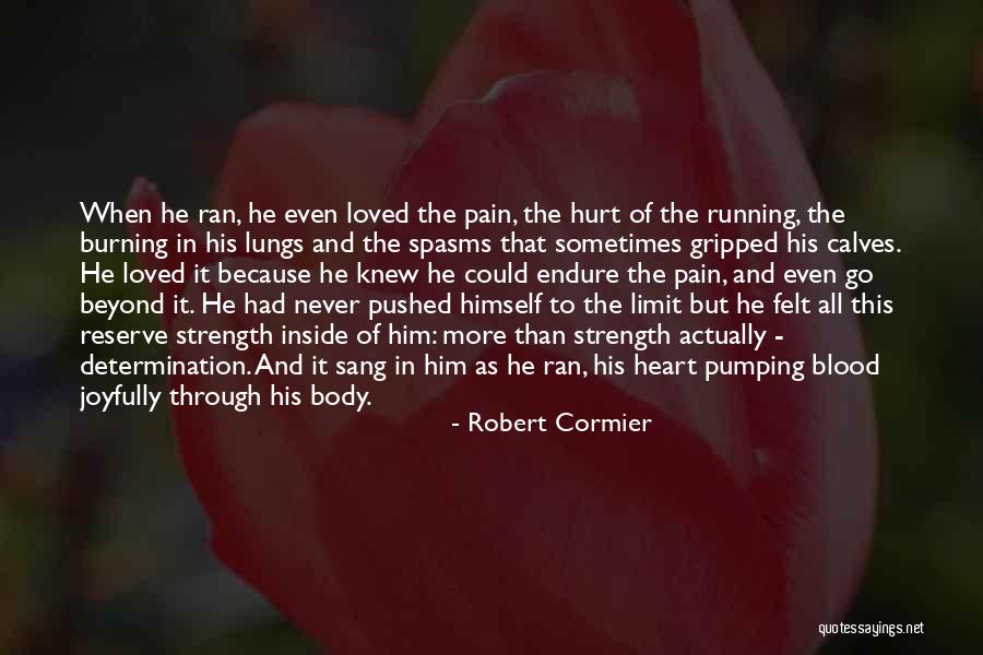 Sohani Garcia Quotes By Robert Cormier Sohani Garcia Quotes By Robert Cormier