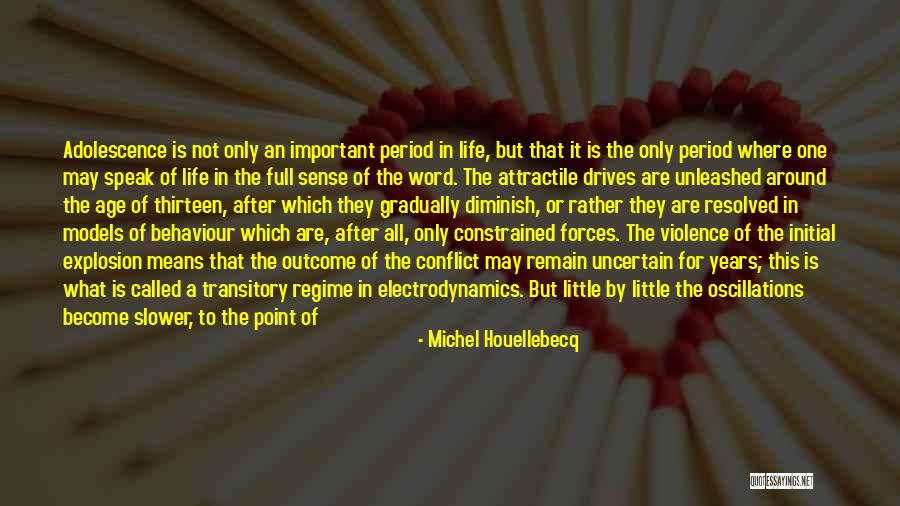 Sohl Ottoman Quotes By Michel Houellebecq Sohl Ottoman Quotes By Michel Houellebecq