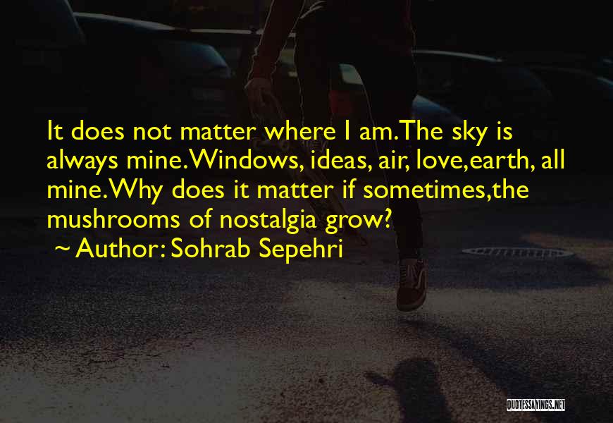 Sohrab Sepehri Quotes 323769