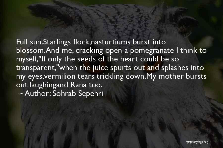 Sohrab Sepehri Quotes 418276