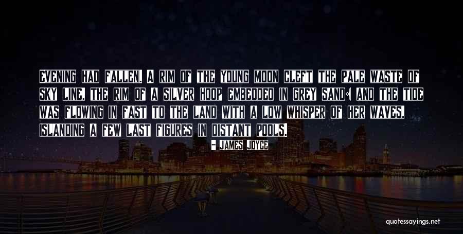 Soifon Shikai Quotes By James Joyce Soifon Shikai Quotes By James Joyce