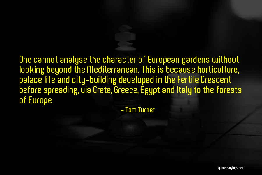 Soifon Shikai Quotes By Tom Turner Soifon Shikai Quotes By Tom Turner