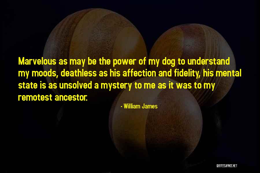 Soigne Marthas Vineyard Quotes By William James Soigne Marthas Vineyard Quotes By William James