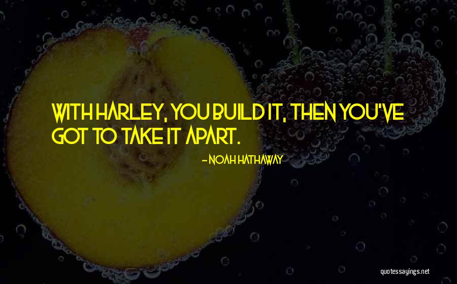 Soisa Aircraft Quotes By Noah Hathaway