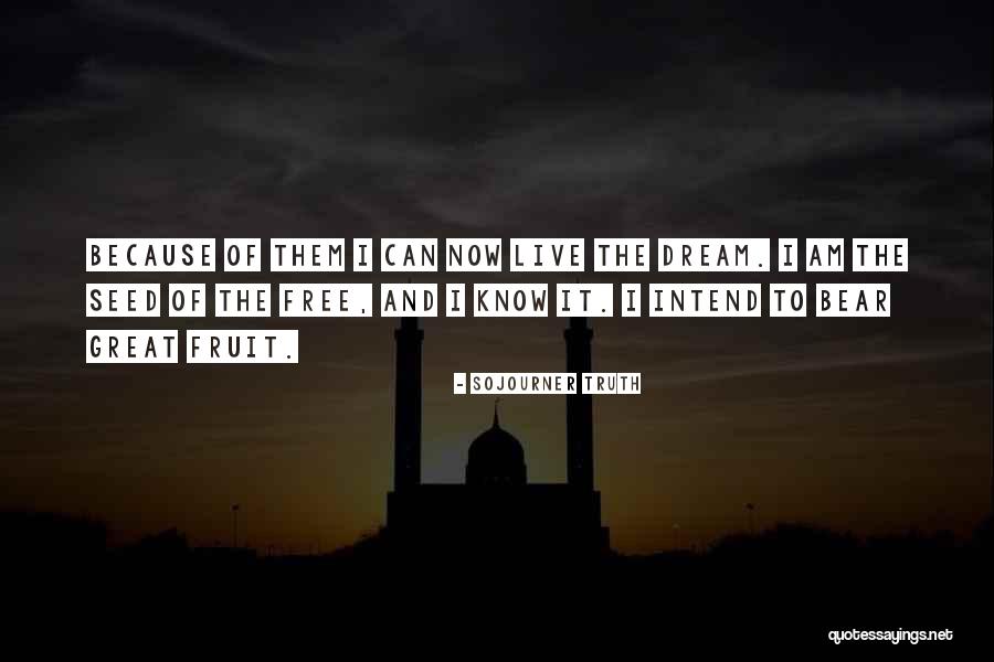 Sojourner Truth Quotes 1423589 Sojourner Truth Quotes 1423589