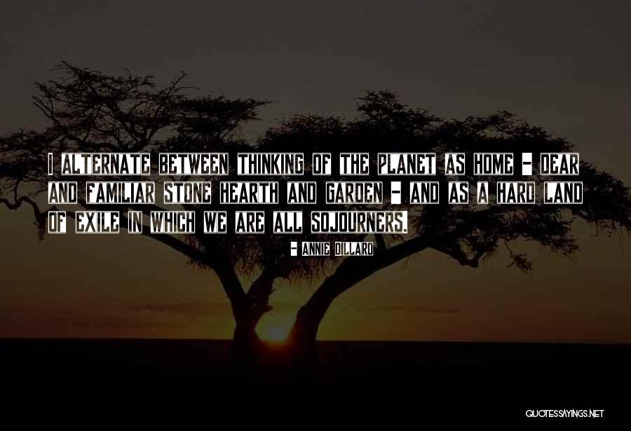 Sojourners Quotes By Annie Dillard