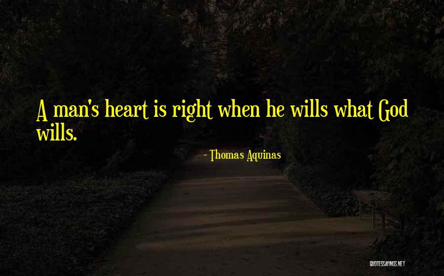 Sokal Florists Quotes By Thomas Aquinas