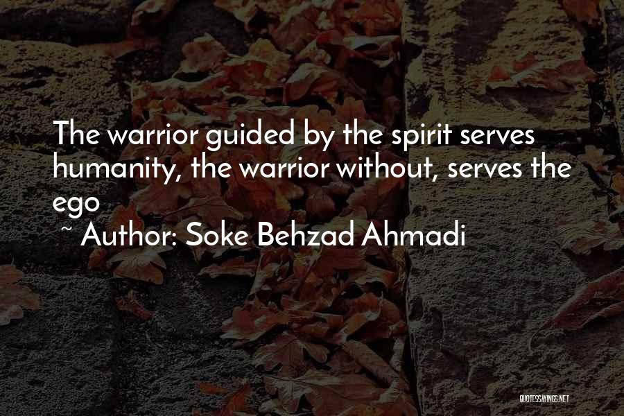 Soke Behzad Ahmadi Quotes 111804