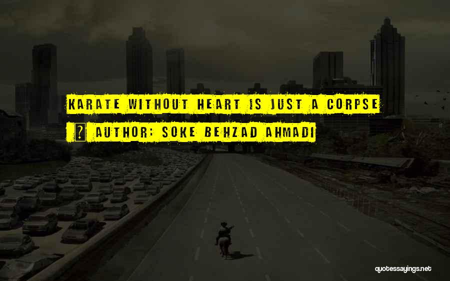 Soke Behzad Ahmadi Quotes 1278121