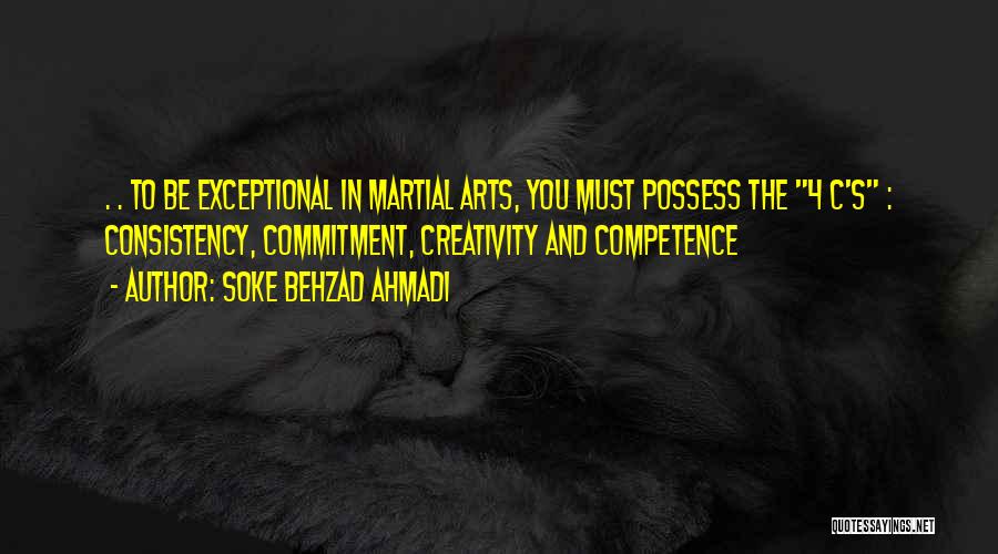 Soke Behzad Ahmadi Quotes 1319413