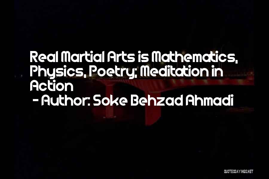 Soke Behzad Ahmadi Quotes 1321368