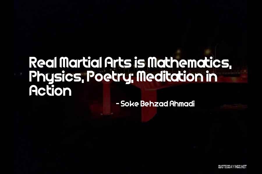 Soke Behzad Ahmadi Quotes 1321368