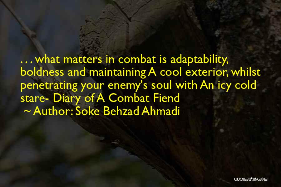 Soke Behzad Ahmadi Quotes 1538679