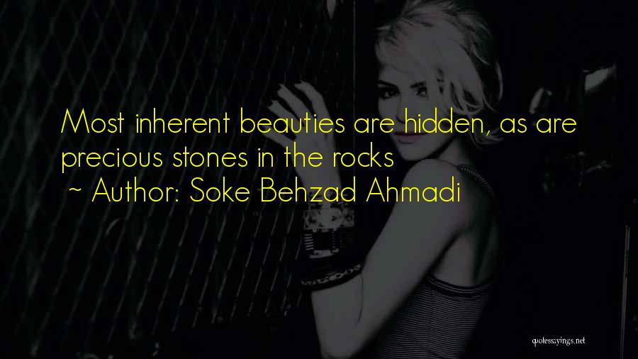 Soke Behzad Ahmadi Quotes 1995123