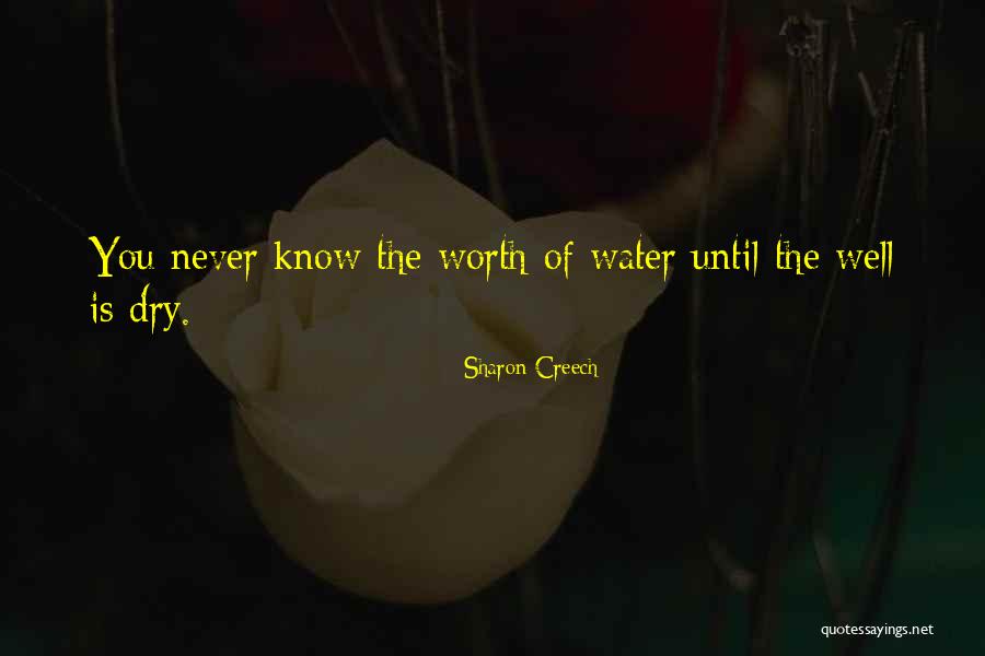 Sokichi Banba Quotes By Sharon Creech Sokichi Banba Quotes By Sharon Creech