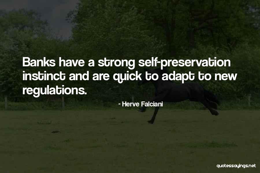 Sokoloff Marla Quotes By Herve Falciani Sokoloff Marla Quotes By Herve Falciani