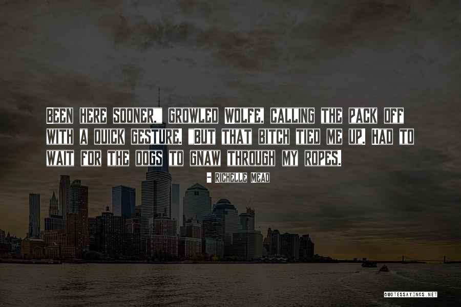 Sokoloski Investigations Quotes By Richelle Mead Sokoloski Investigations Quotes By Richelle Mead