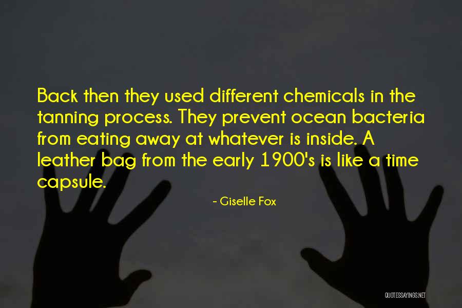 Sol Maya Vacation Quotes By Giselle Fox Sol Maya Vacation Quotes By Giselle Fox