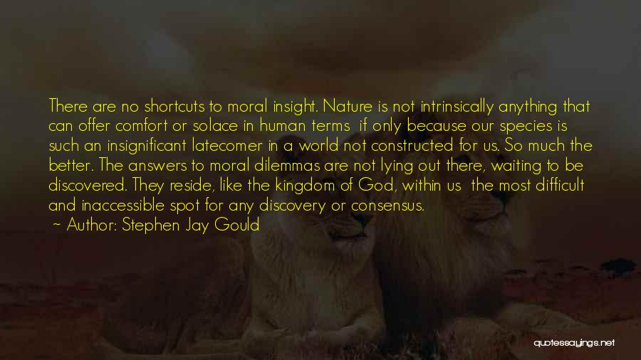 Solace In God Quotes By Stephen Jay Gould