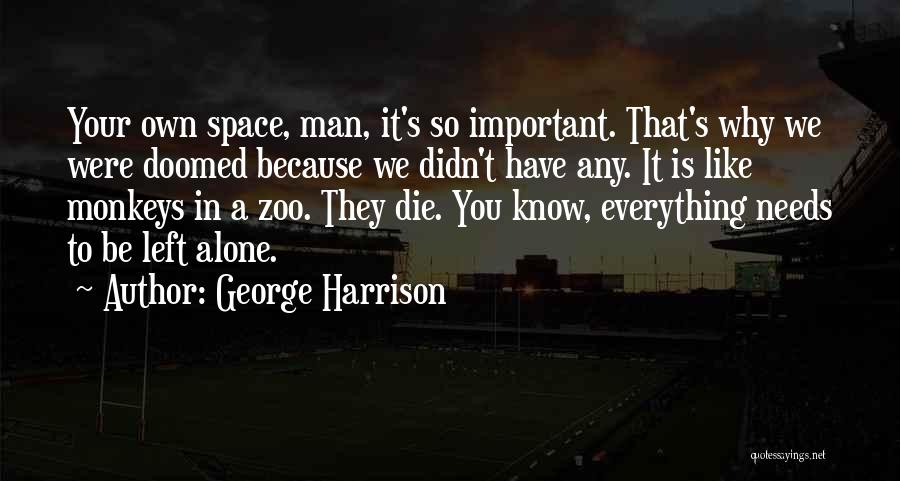 Solace In Solitude Quotes By George Harrison