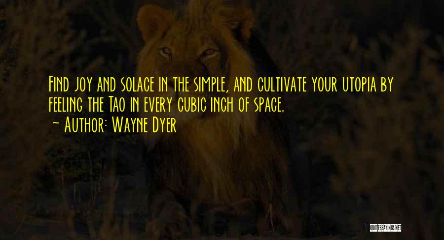 Solace Quotes By Wayne Dyer