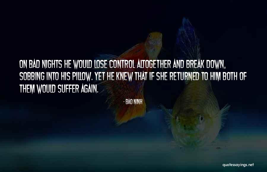 Solanes Films Quotes By Bao Ninh Solanes Films Quotes By Bao Ninh