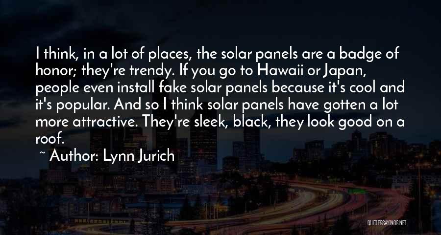 Solar Panels Quotes By Lynn Jurich