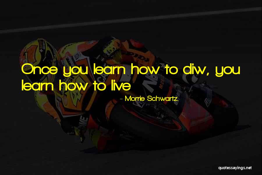 Solarian Quotes By Morrie Schwartz. Solarian Quotes By Morrie Schwartz.