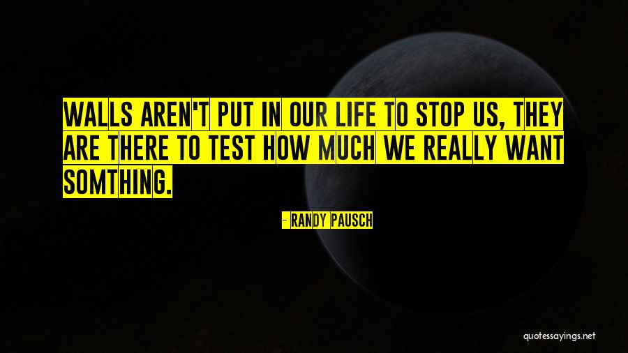 Solarist Quotes By Randy Pausch Solarist Quotes By Randy Pausch